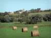 Parque Natural Regional de las Marismas de Cotentin y de Bessin - Pajar en un prado, los árboles y de la granja (casas)