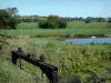 Parque Natural Regional de las Marismas de Cotentin y de Bessin - Vire y Canal Taute, pasturas y árboles