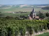 Parque Natural Regional de la Montaña de Reims - Viñedos de los viñedos de Champagne (viñedos de la Montagne de Reims), casas del pueblo y la iglesia Dommange-con vistas a los campos de los alrededores en el fondo