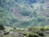 Parque Natural Regional de los Pirineos de Ariège - Lers estanque y sus bancos en Couserans, la ciudad de Puerto