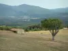 Parque Natural Regional del Verdon - Campo con un árbol y una piedra granero (casa), y las colinas boscosas