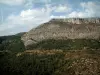 Parque Natural Regional del Verdon - Bosque, monte bajo, las paredes rocosas (acantilados) y las nubes en el cielo