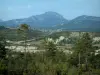 Parque Natural Regional del Verdon - La vegetación, árboles, colinas boscosas y montañas bajas