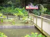 Parque zoológico y botánico de las Mamelles - Zoo entrada a Guadalupe