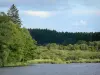 Paysages de Bourgogne - Lac de Saint-Agnan (lac artificiel) et sa rive boisée ; dans le Parc Naturel Régional du Morvan