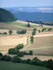 Paysages de Bourgogne - Petite route bordée de champs