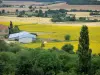 Paysages de Bourgogne - Champs de tournesols en bordure d'une ferme
