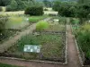 Paysages de Bourgogne - Parc Naturel Régional du Morvan : herbularium (jardin de simples) de la Maison du Parc - Espace Saint-Brisson