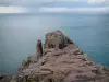 Paysages de la Côte d'Émeraude - Pointe rocheuse et mer (la Manche)