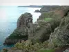 Paysages de la Côte d'Émeraude - Cap Fréhel : falaises abruptes, côtes sauvages et découpée, mer (la Manche) et fort la Latte au loin