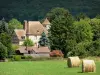 Paysages de l'Eure - Château de Vascoeuil (Centre d'Art et d'Histoire) dans un cadre de verdure, et bottes de foin dans un pré en premier plan