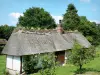 Paysages de l'Eure - Chaumière et son jardin ; à Vieux-Port (sur la Route des Chaumières)