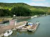 Paysages de l'Eure - Péniches aux abords des écluses d'Amfreville-sous-les-Monts, fleuve Seine, et rive verdoyante ; dans la vallée de la Seine