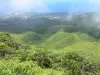 Paysages de la Guadeloupe - Parc National de la Guadeloupe : vue sur les pentes verdoyantes du massif de la Soufrière, le littoral de la Basse-Terre et la mer des Caraïbes depuis le chemin des Dames menant au sommet du volcan