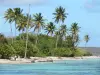 Paysages de la Guadeloupe - Plage de Bois Jolan, sur l'île de la Grande-Terre, dans la commune de Sainte-Anne : cocotiers de la plage et lagon turquoise