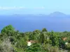 Paysages de la Guadeloupe - Vue sur la mer et les Saintes depuis la côte verdoyante de l'île de la Basse-Terre