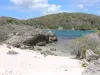 Paysages de la Guadeloupe - Côte sauvage de l'île de la Grande-Terre