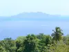 Paysages de la Guadeloupe - Vue sur la mer et les Saintes depuis la côte verdoyante de l'île de la Basse-Terre