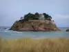 Paysages du littoral de Bretagne - Côte d'Émeraude : île du Guesclin, mer et oyats en premier plan