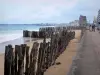 Paysages du littoral de Bretagne - Côte d'Émeraude : plage avec des pieux en bois, promenade, immeuble et maisons bordant la plage et la mer, à Saint-Malo