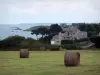 Paysages du littoral de Bretagne - Côte d'Émeraude : prairie avec des bottes de foin, maisons, arbres, côtes, rochers et mer