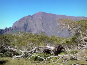 Paysages de La Réunion - Cirque de Mafate - Parc National de La Réunion : plaine des Tamarins et remparts du cirque naturel