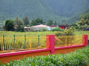 Paysages de La Réunion - Habitations au coeur de la plaine des Grègues, dans un écrin de verdure