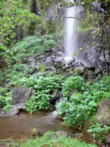 Paysages de La Réunion - Site de l'anse des Cascades : petite cascade dans un cadre verdoyant