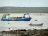 Paysages de Vendée - Réserve Naturelle de la baie de l'Aiguillon : bateaux sur l'eau, pieux, prés salés et arbres