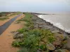 Paysages de Vendée - Réserve Naturelle de la baie de l'Aiguillon : brise-lames de la digue de l'Aiguillon, végétation, herbage et mer