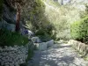 Peillon - Shady ruta llena de iris y una pequeña fuente, árboles de olivo en el fondo