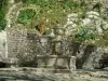 Peillon - Fuente, el banco y muro de piedra, cactus en el fondo