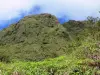 Pelée mountain - Green slopes of the volcano; in the Regional Natural Park of Martinique