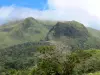 Pelée mountain - Volcanic Landscape