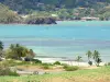 Península de Caravelle - Paisagem costeira do ponto de vista em torno da ponta da bateria