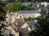 Perche Regional Nature Park - Trees, buildings and houses of the city of Nogent-le-Rotrou