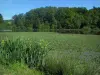 Périgord-Limousin Regional Nature Park