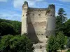 Périgueux - Templo Vésone (galo-romana sigue siendo)