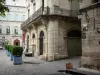 Pézenas - Old town: former consular house (Art professions house), shrubs in jars, paved ground