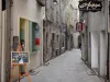 Pézenas - Ciudad Vieja: caballete, calle empedrada rodeada de tiendas y casas