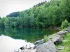 Pierre-Percée lake - Lake surrounded by greenery