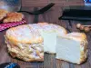 La Pierre-qui-Vire cheese - Gastronomy, holidays & weekends guide in the Yonne