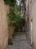 Pigna - Calles estrechas pavimentadas con las casas escalonadas decoradas con vides (en Balagne)