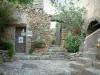 Pigna - Suelo pavimentado, escaleras pequeñas, flores, plantas, árboles de higo y casas en la aldea (en Balagne)