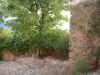 Pigna - Flagstone pisos, paredes de piedra, plantas y árboles