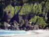Plage de Grande Anse - Playa de arena, rocas y Océano Índico