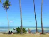 Playas de Martinica - Relájese bajo los cocoteros de la playa de la Faula punta, con vistas a la laguna y blancos fondos; en la ciudad de Vauclin