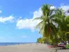 Playas de Martinica - Playa Rincón, con su arena de color gris, con las palmas de coco y el mar Caribe; en la ciudad de Carbet