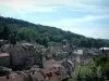 Plombières-les-Bains - Houses of the hydropathic city (resort) surrounded by trees