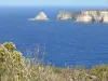 La pointe de la Grande Vigie - Guide tourisme, vacances & week-end en Guadeloupe